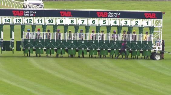 View video › View video ›