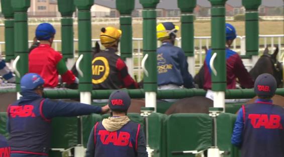 View video › View video ›