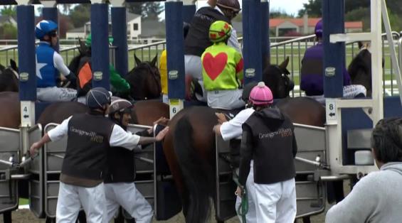 View video › View video ›