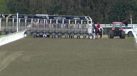 View video › View video ›