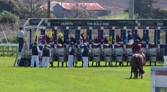 View video › View video ›