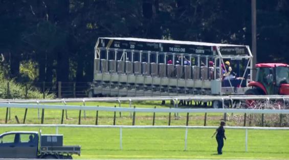 View video › View video ›