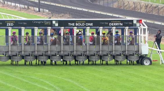 View video › View video ›