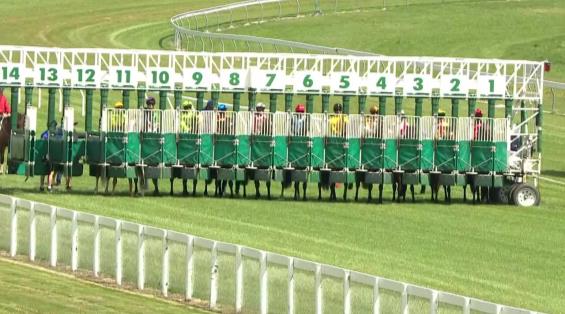 View video › View video ›