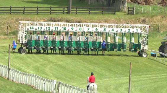 View video › View video ›