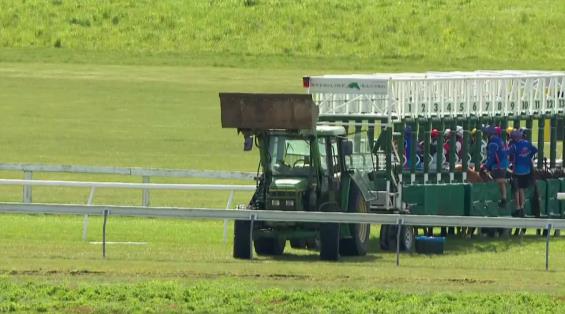 View video › View video ›