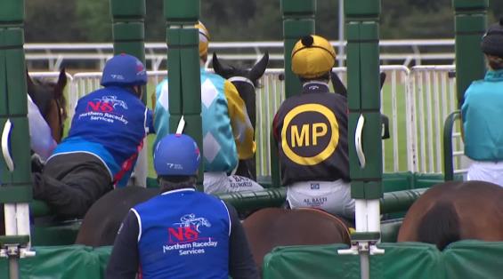 View video › View video ›