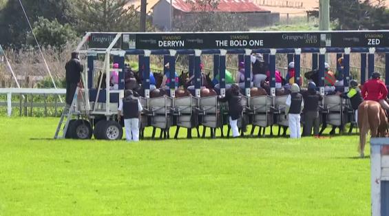 View video › View video ›