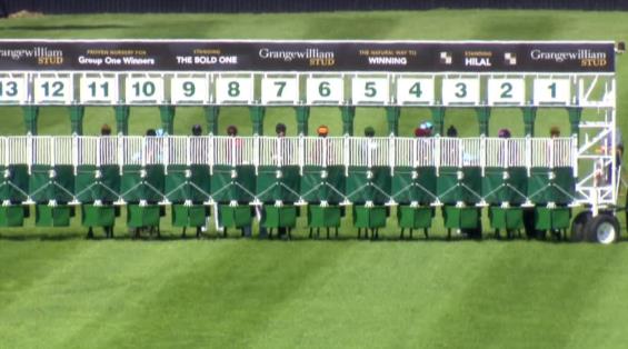 View video › View video ›