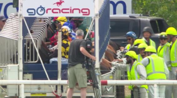 View video › View video ›