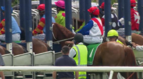 View video › View video ›