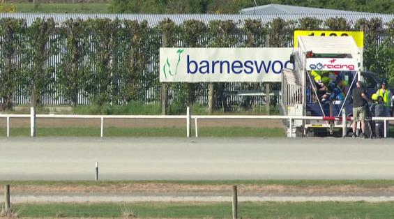 View video › View video ›