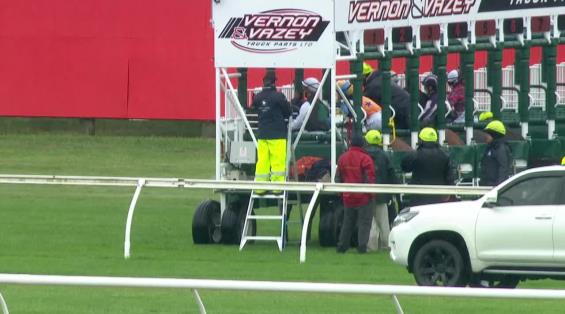 View video › View video ›