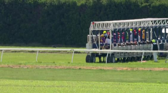 View video › View video ›