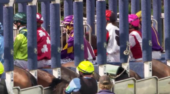 View video › View video ›