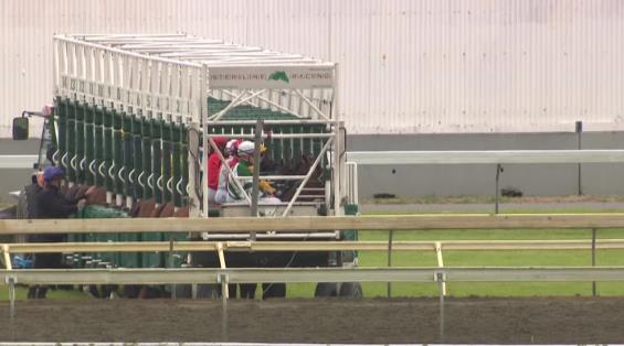 View video › View video ›