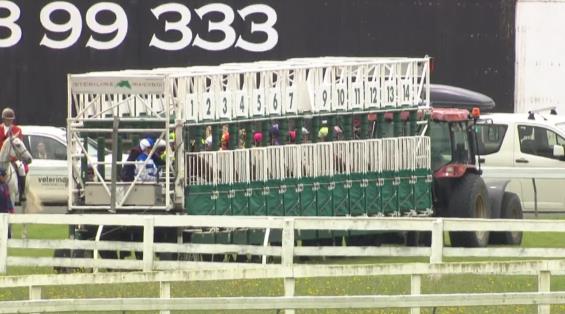 View video › View video ›