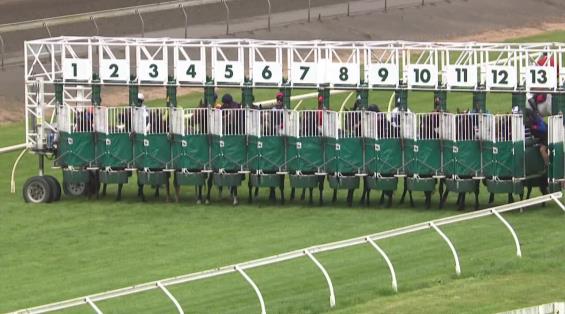 View video › View video ›