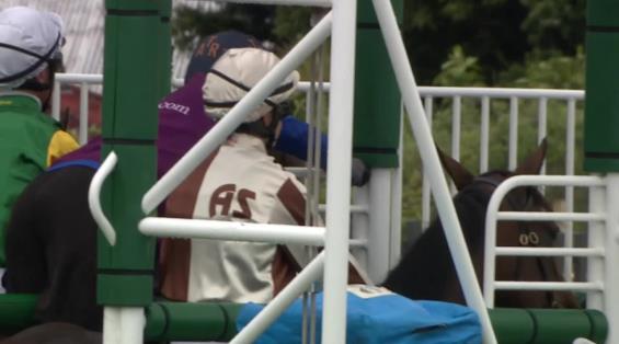 View video › View video ›