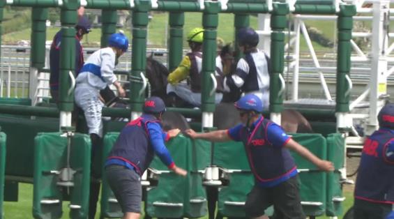 View video › View video ›