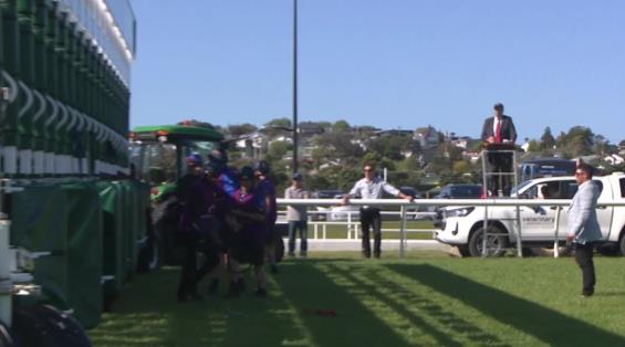 View video › View video ›