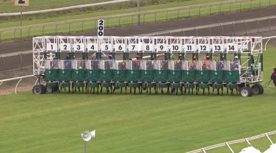 View video › View video ›