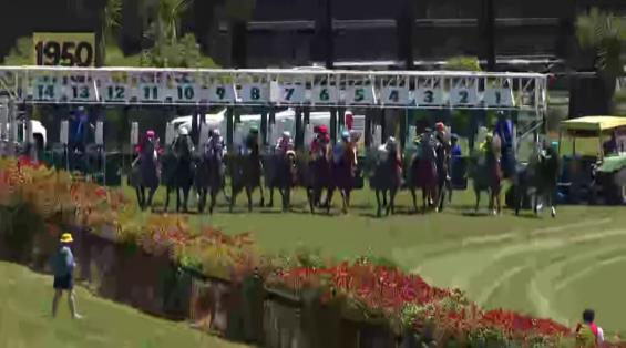 View video › View video ›