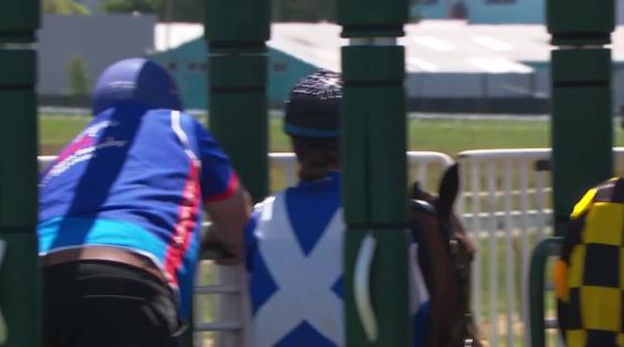 View video › View video ›