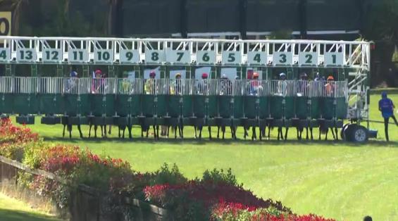 View video › View video ›