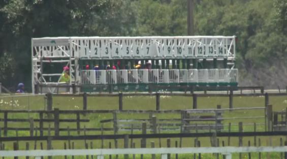 View video › View video ›