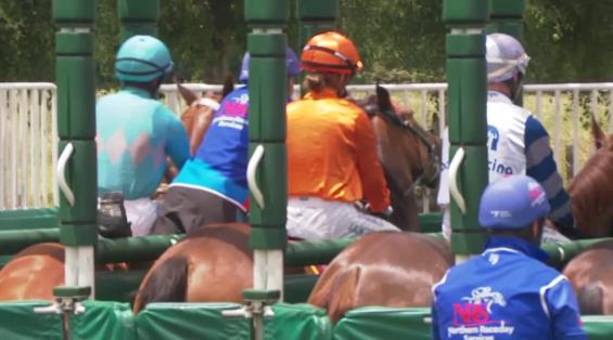 View video › View video ›