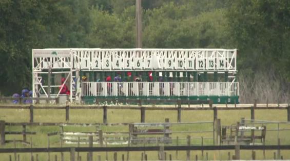 View video › View video ›