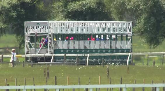 View video › View video ›