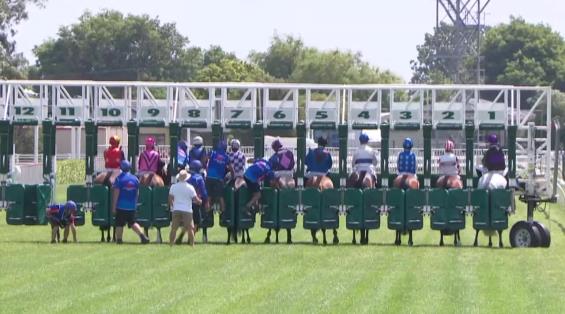 View video › View video ›