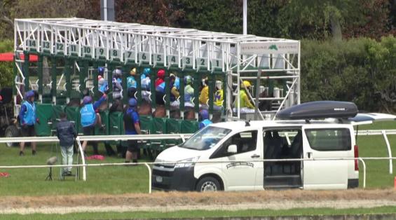 View video › View video ›