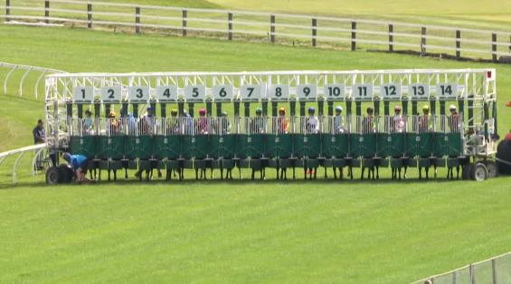 View video › View video ›