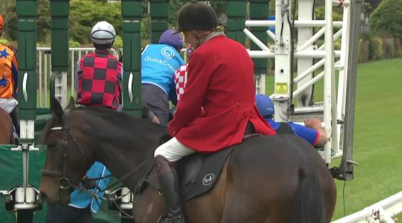 View video › View video ›