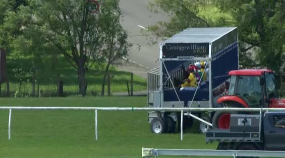 View video › View video ›