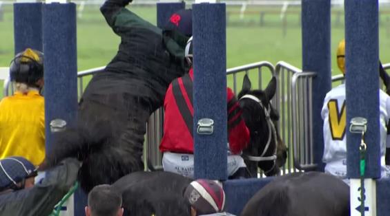 View video › View video ›