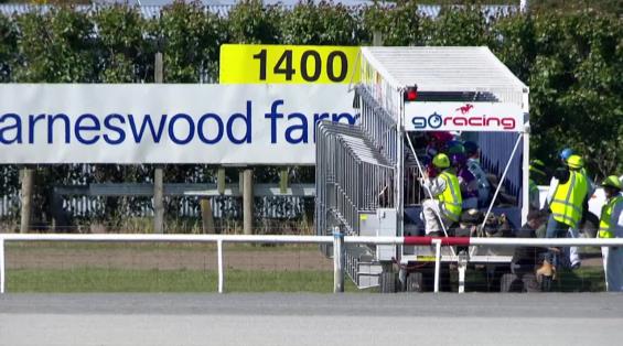 View video › View video ›