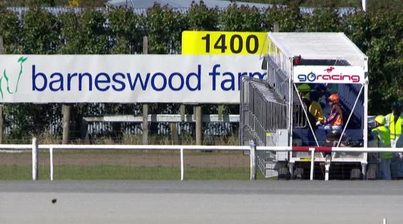 View video › View video ›