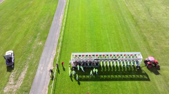 View video › View video ›