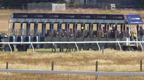 View video › View video ›