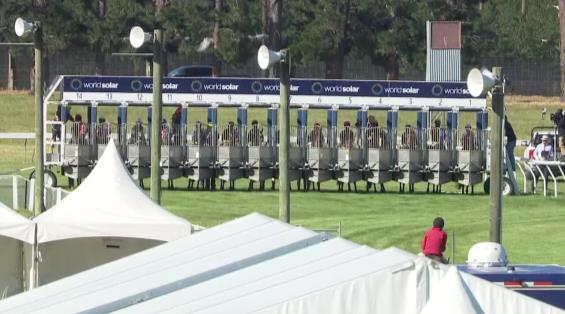 View video › View video ›