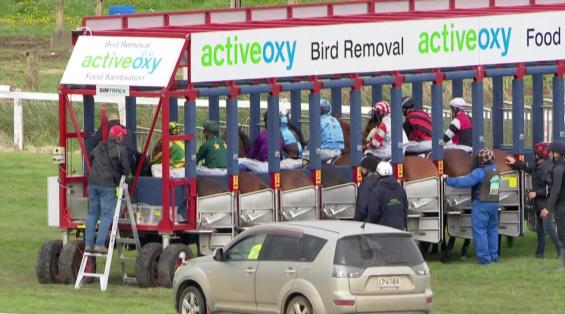 View video › View video ›