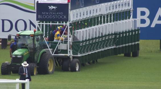 View video › View video ›