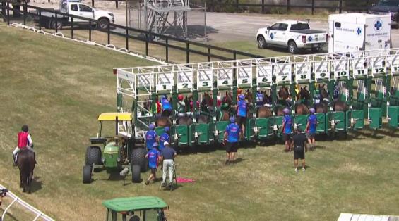 View video › View video ›