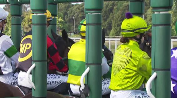 View video › View video ›