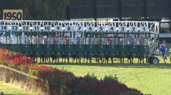 View video › View video ›