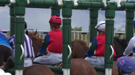 View video › View video ›